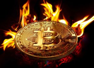 cara sentimen bitcoin