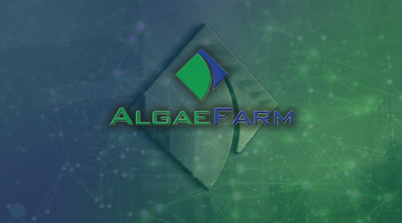 Latoken x Algae Farm Airdrop | Daftar dan Dapatkan 2500 BIOG