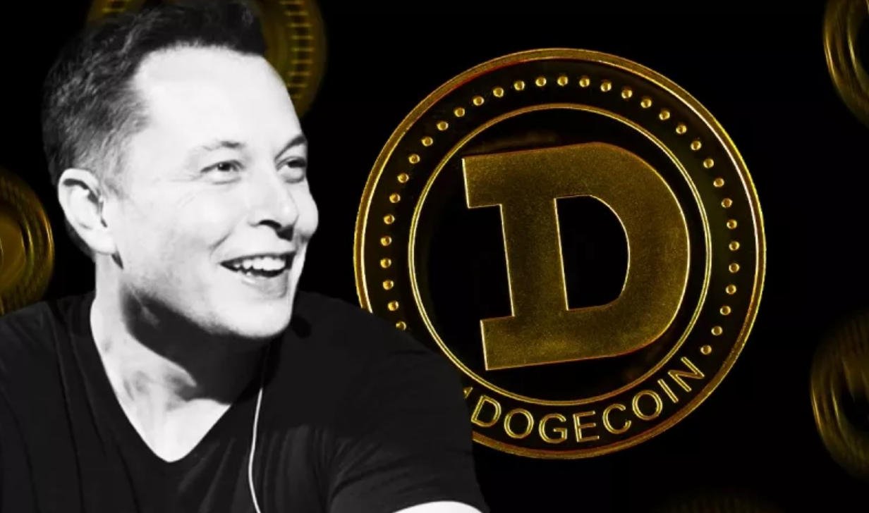 Dogecoin Turun 20 Persen Setelah Tweet Elon Musk Ini