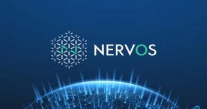 Nervos Meluncurkan Dana $5 Juta Untuk Mendukung Proyek DeFi