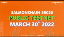 SalmonChain DeFi Blockchain dan Live Public Testnet
