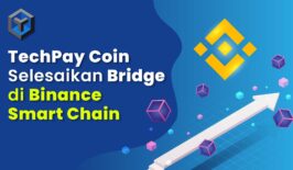 TechPay Coin Selesaikan Bridge di BSC untuk Jadi Blockchain Tercepat
